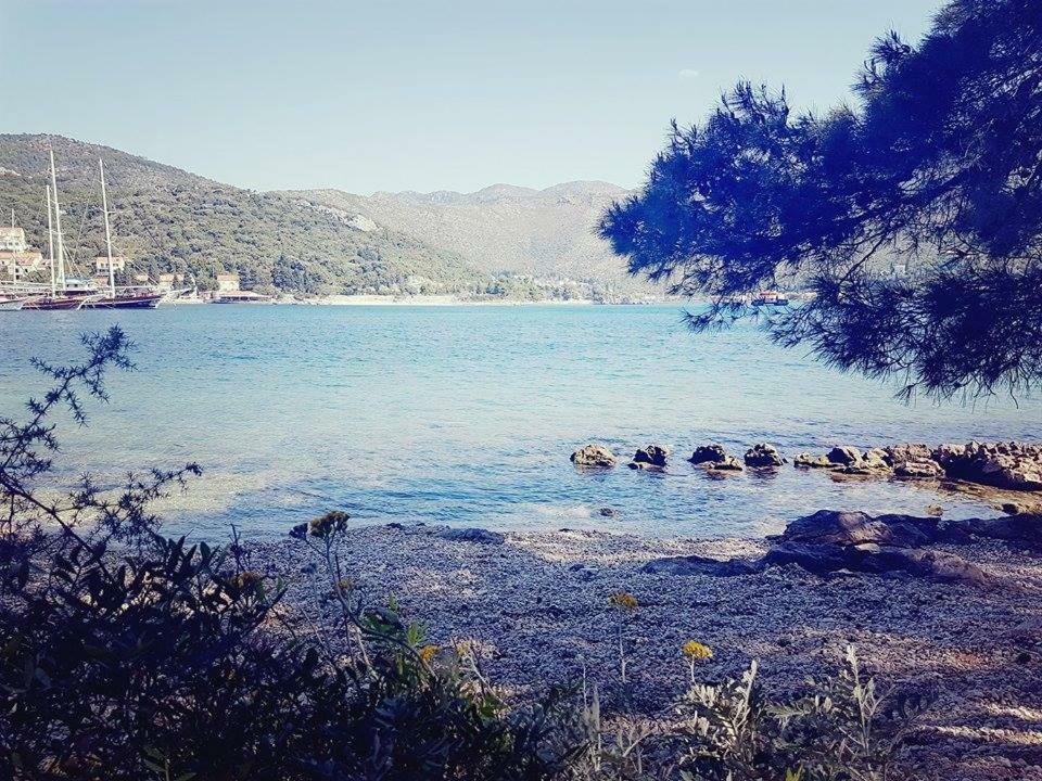 Hanas Dream Places Zaton  Exterior foto