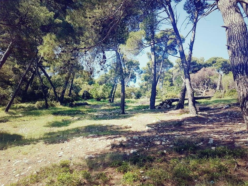 Hanas Dream Places Zaton  Exterior foto